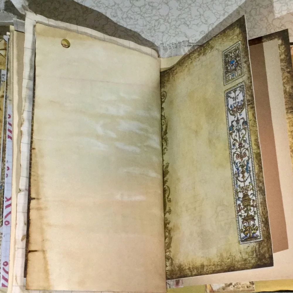 🌺 Distinct Victorian 🌸 Fractsi riella Journal 💮